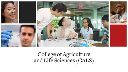 College or Program Introduction